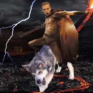 Meet your Posher, Jonathan